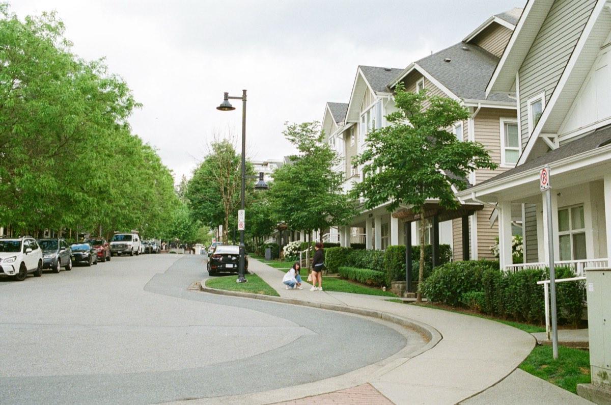A tree-lined residential street